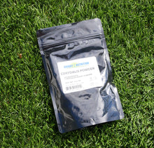 Load image into Gallery viewer, Corydalis Powder™