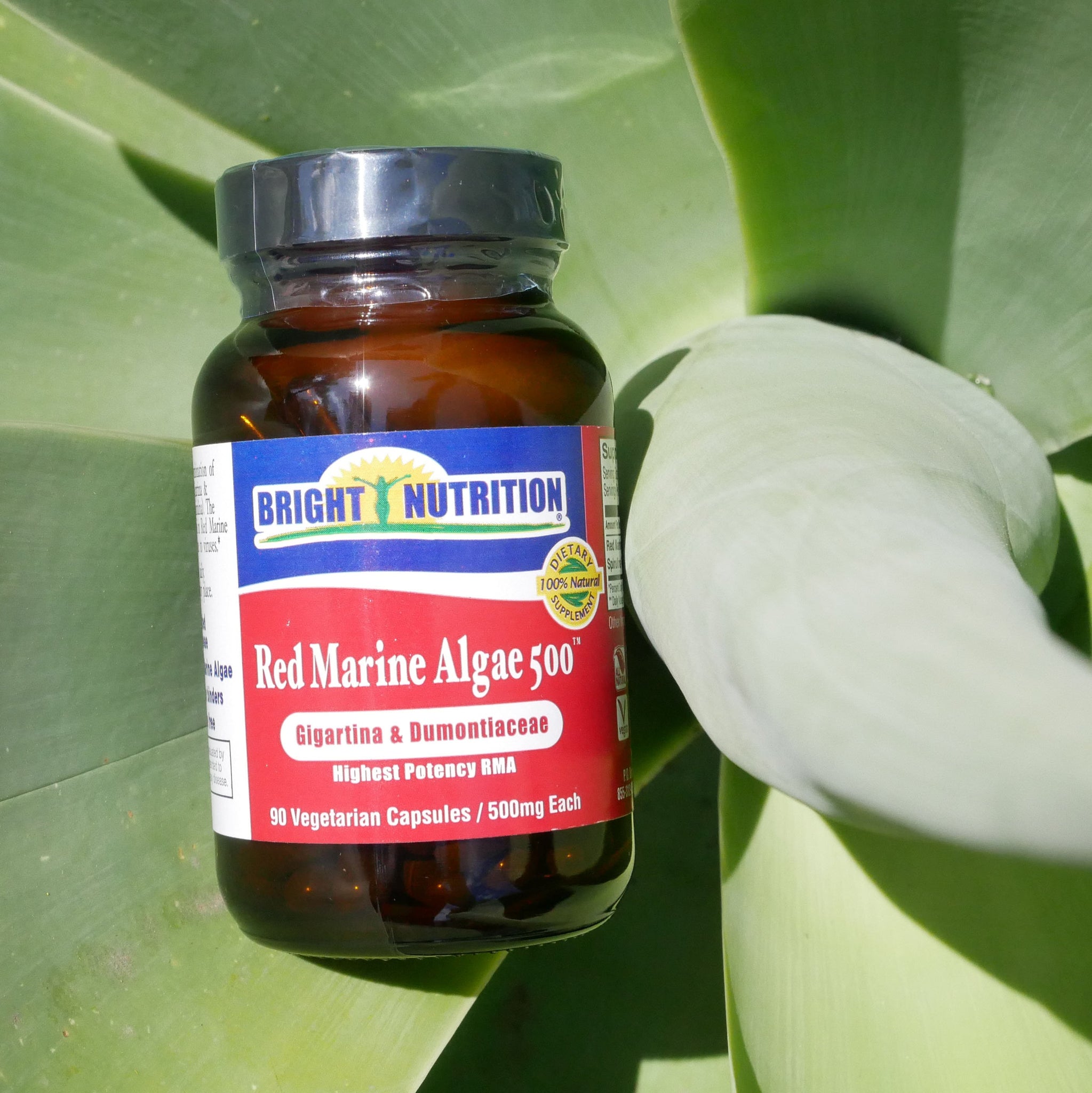 Red Marine Algae 500™ – Bright Nutrition Inc.